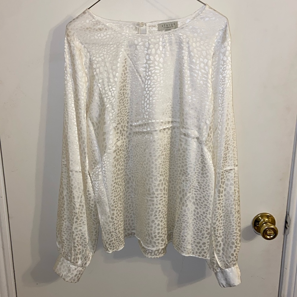 Satin Women’s Blouse